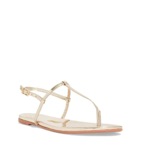 371380-800-800 371380-800-800